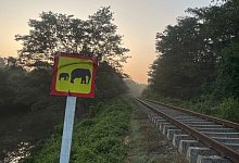 Zugungl&uuml;ck mit Herde wilder Elefanten - Priyan Malinda/AP/dpa