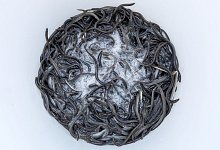 Jungaale - Jens B&uuml;ttner/dpa