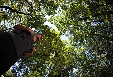 Ab ins Gr&uuml;ne - Klaus-Dietmar Gabbert/dpa-tmn/dpa