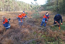 pflegeeinsatz_hiddeser_bent-2 - Biologische Station