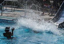 Sommerwetter - Berlin - Sommerbad Wuhlheide - Jens Kalaene/dpa