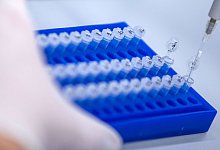 Corona-Varianten - Foto: Jens B&uuml;ttner/dpa