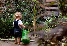 Ein Kind gie&szlig;t Pflanzen - Franziska Gabbert/dpa-tmn