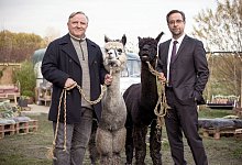 Tatort: Rhythm and Love - Foto: Martin Valentin Menke/WDR/dpa