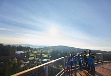 Waldwipfelweg in Sankt Englmar - Stefanie Felgenhauer/Woidlife Photography/Tourist-Information Sankt Englmar/dpa-tmn