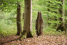 theatre-fragile_still_c-max-krause_2_800 - Max Krause