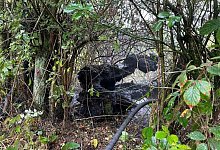 Baumstumpf brennt - Feuerwehr Schieder-Schwalenberg