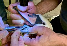 img_4358 - 1 - Marcus Pansegrau