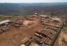 Abholzung im Amazonas - Andre Penner/AP/dpa