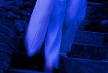 Schlafwandler - Kai Remmers/dpa-tmn