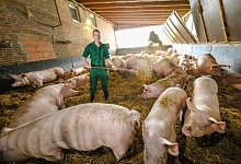 az017187 - Andreas Zobe