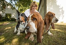 Ruhige Zeitgenossen mit guter Nase - Torben Gocke