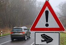 Fr&ouml;sche und Kr&ouml;ten sind wieder auf Wanderschaft - Patrick Pleul/dpa