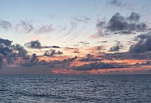 Industrieabgase wirbeln Ökosystem im Ozean durcheinander - Ryan Tabata/University of Hawaii at Manoa/dpa