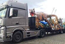 dinos-on-tour-3 - Justin Freiwald