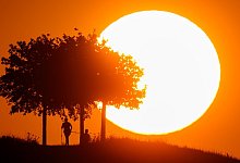 Hitze in Deutschland - Julian Stratenschulte/dpa