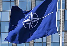 Nato wird mit Friedenspreis ausgezeichnet - Anna Ross/dpa