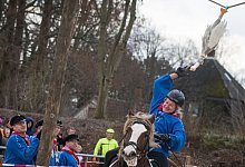 G&auml;nsereiten der Karnevalisten in Bochum - Bernd Thissen/dpa