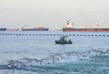 Schwimm-WM in Singapur - Freiwasser - Vincent Thian/AP/dpa