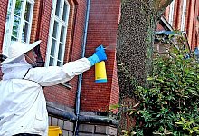 Dusche f&uuml;r die Bienen - FOTO: THOMAS KUBE