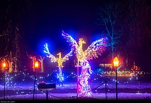 Illumination - Carlhermann Schmitt