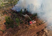 Waldbrand bei J&uuml;terbog - Thomas Schulz/TNN/dpa