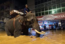 Hochwasser in Thailand - Wason Wanichakorn/AP/dpa