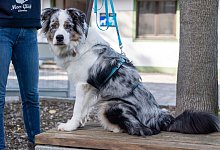 &laquo;Angstgeschirr&raquo; - Foto: dpa-tmn