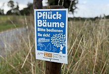 pflueckbaeume25 - Gemeinde Schlangen