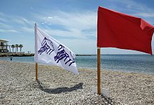 Giftquallen auf dem R&uuml;ckzug - Foto: Patrick Schirmer Sastre