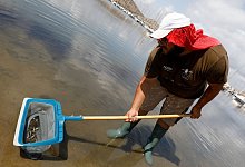 Mar Menor - Foto: Edu Botella/EUROPA PRESS/dpa