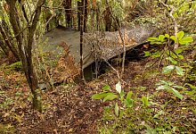 Versteck des Kindesentführers Tom Phillips in Neuseelands Wildnis - NZ Police/dpa