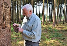 DSC_0020-331962492 - Greta Wiedemeier