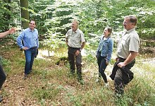 miw-wald-1 - 1 - Michaela Weiße