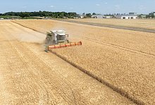 Ernte - Sebastian Kahnert/dpa