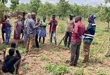 sojabohnen-fur-ein-besseres-leben - 1 - Lippische Landeskirche