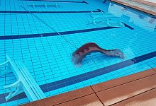 Freidbad - Freibadverein Kirchheide