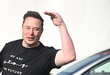 Tesla-Chef Musk - Sebastian Gollnow/dpa