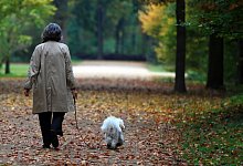 Vierbeinige Begleiter - Foto: Ole Spata/dpa