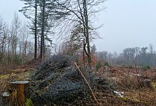 20230310_1013351 - Carolin Brokmann-F&ouml;rster