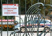 Pflegerin durch Nashorn-Angriff im Zoo Salzburg get&ouml;tet - Franz Neumayr/APA/dpa