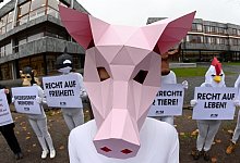 Peta-Protest - Foto: Uli Deck/dpa