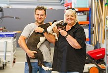 Nashorn-Horn-Schn&uuml;ffler - Andreas Arnold/dpa