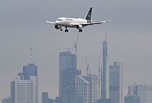 Flugzeug - Arne Dedert/dpa