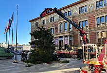 Weihnachtsbaum vor dem Abgeordnetenhaus aufgestellt - Stefan Kruse/-/dpa