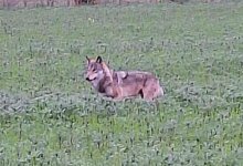 b6e7990b-3857-4c33-bc67-b0e389cec619 - 1 - 1 - Torben Denker/privat