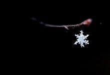 Schneekristall - Foto: Ralf Hirschberger/dpa-Zenmtralbild/dpa