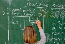 Englischlehrerin - Patrick Pleul/dpa-Zentralbild/dpa/Symbolbild