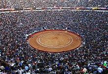 Stierk&auml;mpfe - Mario Guzman/EFE/EPA/dpa