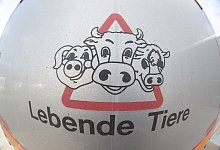 Rindertransporte in Drittl&auml;nder - Friso Gentsch/dpa